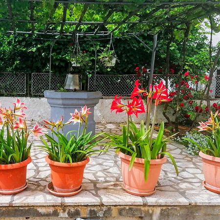Apartman Lavanda Sa Bazenom I Okucnicom 4* Hreljin Exteriér fotografie