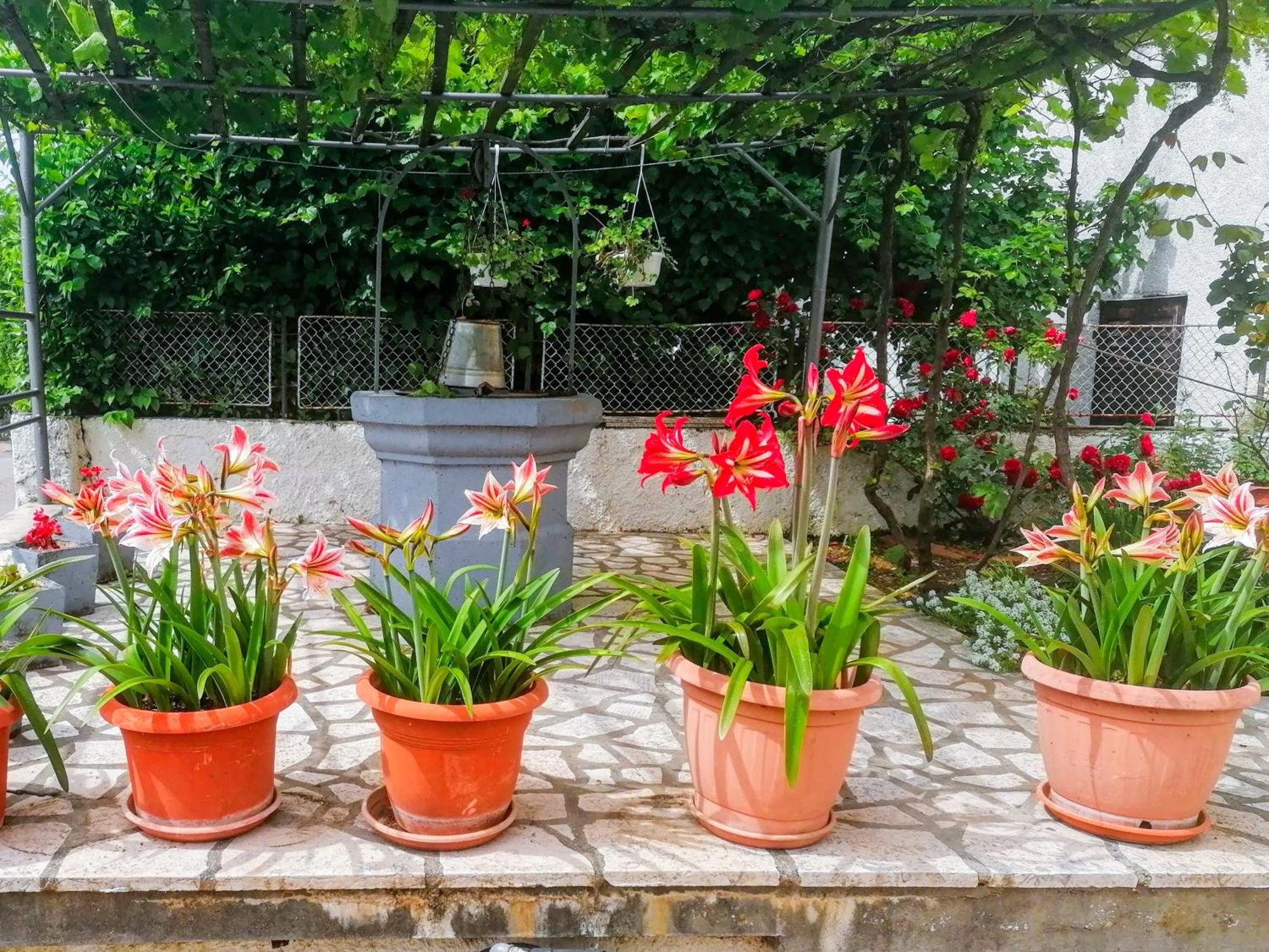 Apartman Lavanda Sa Bazenom I Okucnicom 4* Hreljin Exteriér fotografie