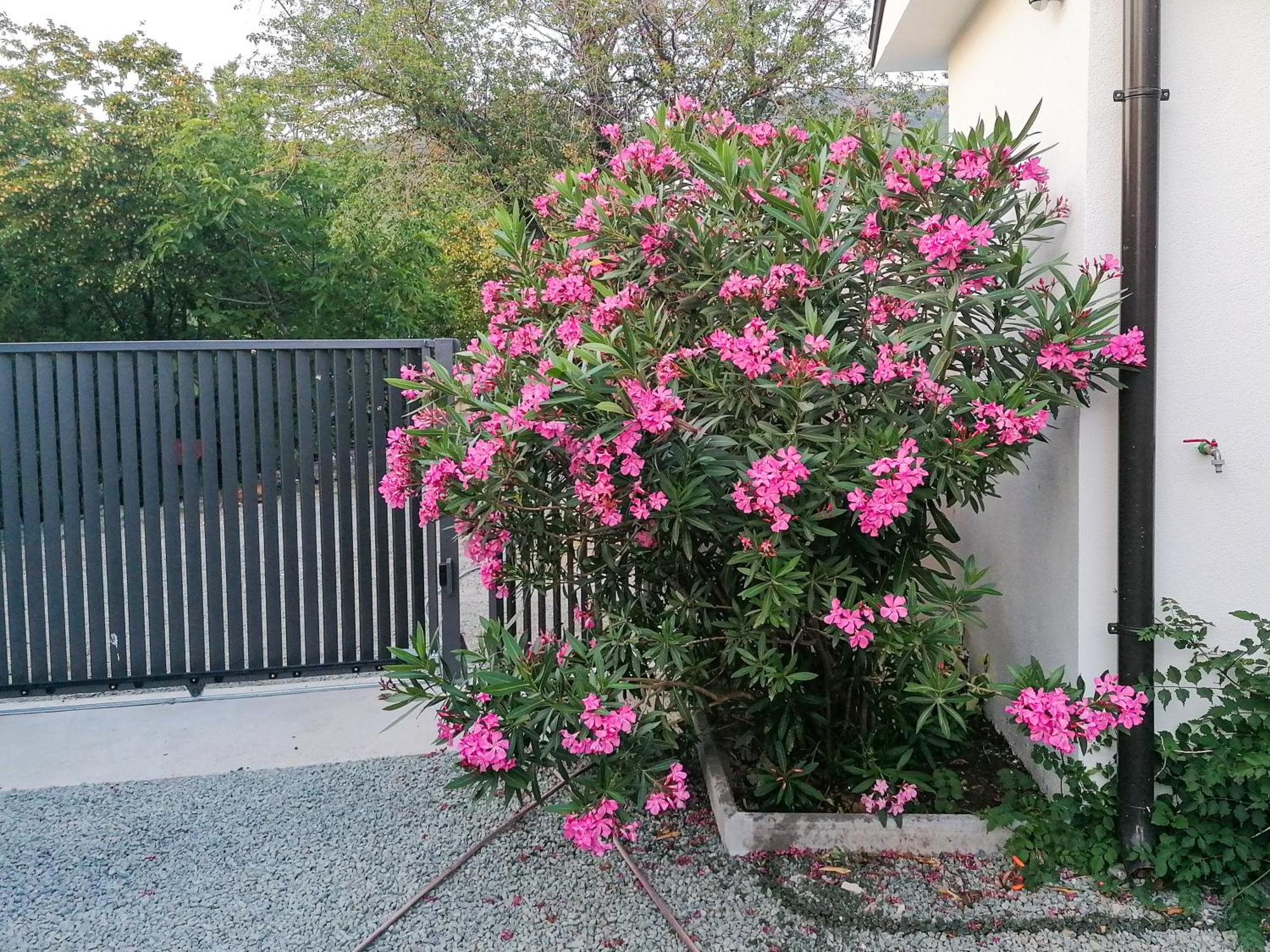 Apartman Lavanda Sa Bazenom I Okucnicom 4* Hreljin Exteriér fotografie
