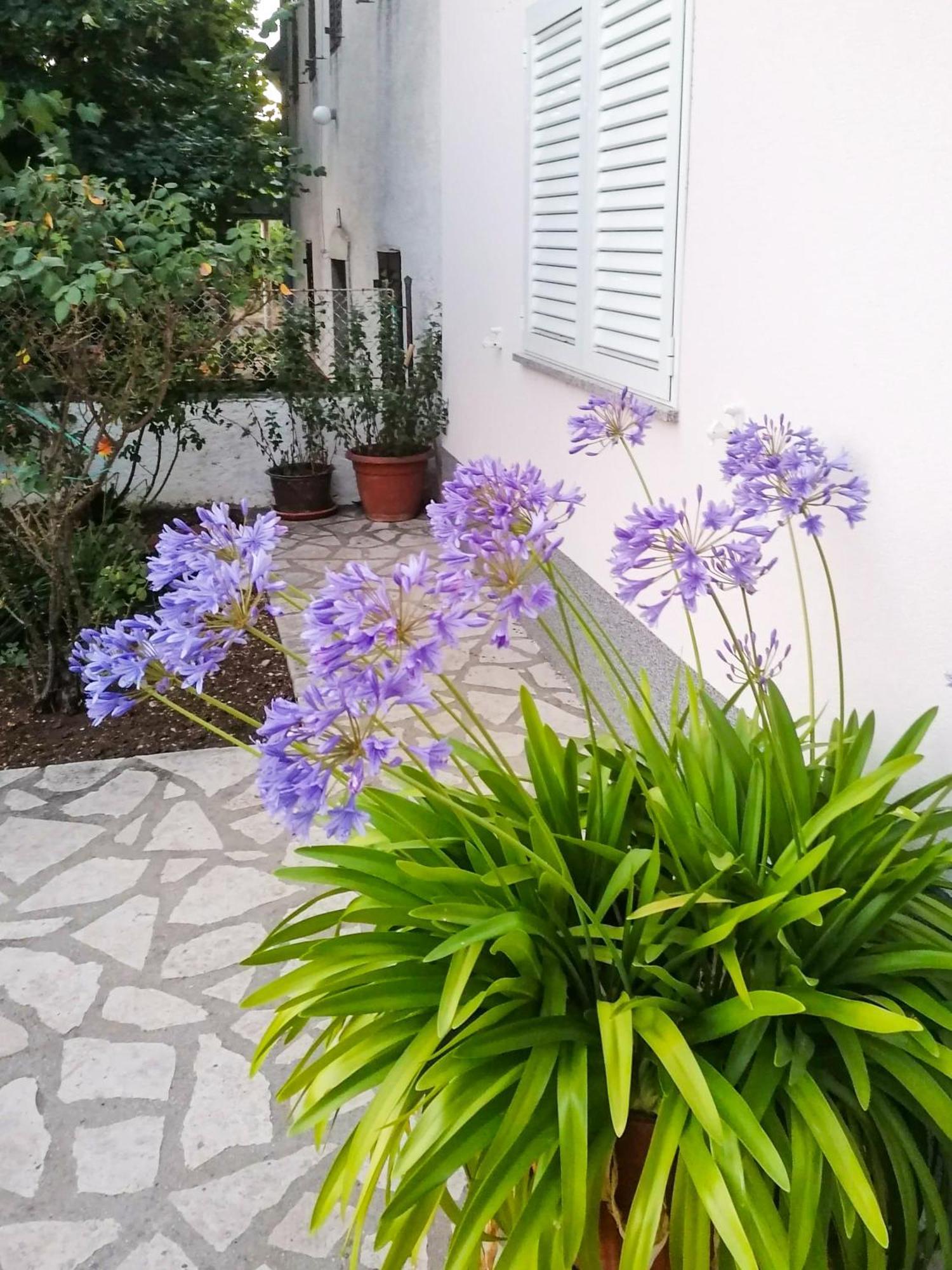 Apartman Lavanda Sa Bazenom I Okucnicom 4* Hreljin Exteriér fotografie